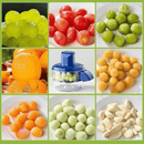 Descascador Elétrico para Legumes e frutas – Alho, Uva,Tomate e Mais